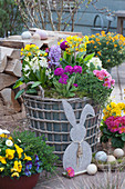 Easter terrace with drumstick primroses, hyacinths, primroses, spring primroses, thyme, horned violets, daisies, and grape hyacinths, wooden Easter bunny, and Easter nest with Easter eggs
