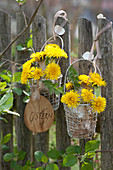 Small bouquets of dandelions in blown-out Easter eggs as a vase in wire baskets on the garden fence, wooden pendants: Easter