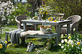Ostertischdeko im Garten: Strauß aus Blütenzweigen und Löwenzahn, Osterhase, Korb mit Ostereiern und Blütenkranz