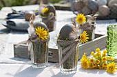 Ostertischdeko : Ostereier auf Gläsern mit Moos, dekoriert mit Blüten vom Löwenzahn, Federn und Schleifenband, Löwenzahnblüten und Schlüsselblumen liegen