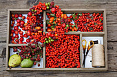 Wreath of berries on top of divided tray holding components of wreath