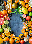 A selection of citrus fruits in a frame