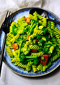 Rotini pasta with basil pesto, broccoli and tomatoes