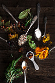 An assortment of different spices on spoons