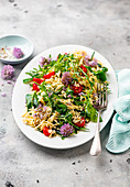 Salat mit Orzo-Nudeln, Rucola und Schnittlauchblüten