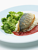 Pan Fried Fish with tomato puree, rice, and lettuce