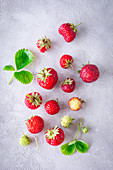 Bio-Erdbeeren auf hellem Untergrund