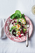 Roasted beetroot salad with dill cream and grilled scallops