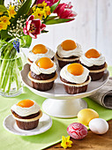 Cupcakes with sour cream and apricots