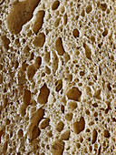 Sliced Bread (close-up)