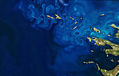 Phytoplankton bloom, Falkland Islands, satellite image