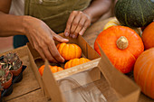 Female shop owner arranging small pumpkins in box