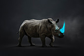 Rhinoceros with blue tusk, illustration