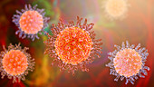 Herpes simplex virus, illustration