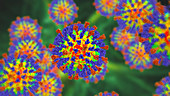 Measles virus, illustration