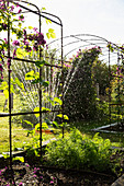 Sprinkler watering plants and flowers in sunny summer garden