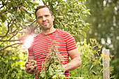 Confident man harvesting vegetables in garden