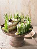 Cucumber cream cheese tart with spring herbs