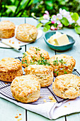 Parmesan and thyme scones