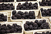 Fresh blackberries in cardboard cups