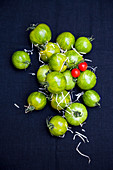 Green tomatoes and two cherry tomatoes