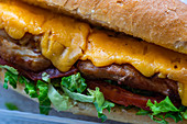 Sandwich mit Fleisch und Käse (Close-up)