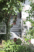 View of the entrance steps with potted box balls and summer decorations