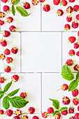 Fresh Raspberries and Leaves Arranged as a Frame over Tile Background