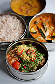 South Asian curries