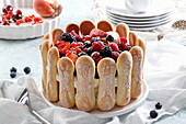 Creamy charlotte cake with biscuits and fresh berries