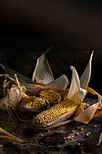 Dried corn on the cob