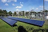 Solar panels and electricity substation