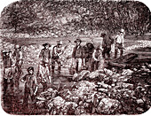 Gold prospectors in Australia, 19th century illustration