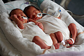 Premature identical twins
