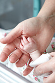 Hand comforting premature baby