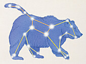 Ursa Major constellation, illustration