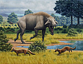 Archaeotherium and Hesperocyon, illustration