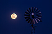 Full Moon and windmill