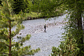 Fishing in the Conejos River, Colorado, USA