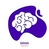 Brain, illustration