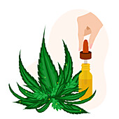 CBD oil and cannabis leaves, conceptual illustration