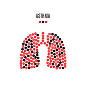 Lungs disease, conceptual illustration