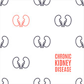 Chronic kidney disease, conceptual illustration