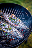 Grilling fresh trout with lemon and herbs in the fish grilling baskets