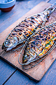 A grilled trout