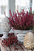 Autumn arrangement of rose hips, heather and terracotta pine cones
