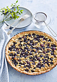 Blueberry cake with walnuts