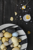 Various eggs on patterned plate and boiled breakfast egg