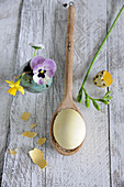 Egg on a wooden spoon, daffodil, pansy, freesia, and bellis daisies