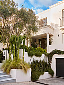 Two-story house, entrance area with planted raised beds and old olive tree